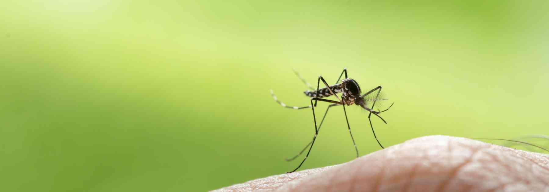 Is Malaria contagious and do I need the vaccine?