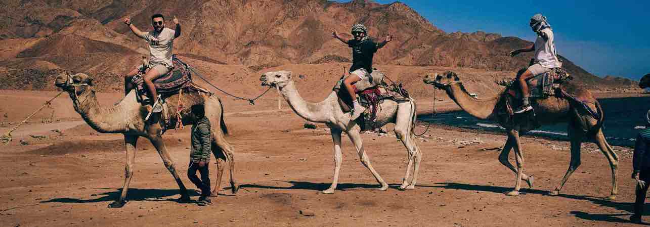 How long does a tetanus injection last for travellers?