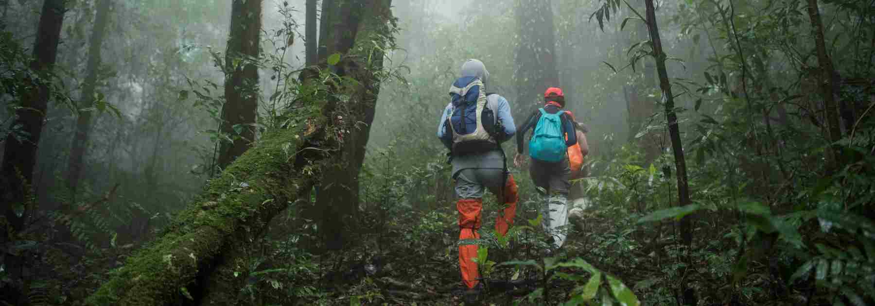 Buy the best insect repellent