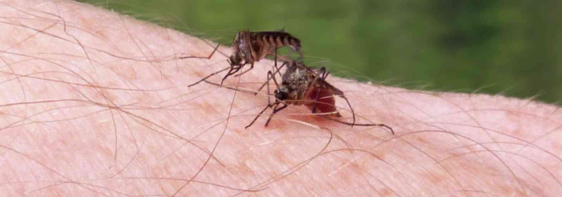 Book a travel vaccination clinic near me